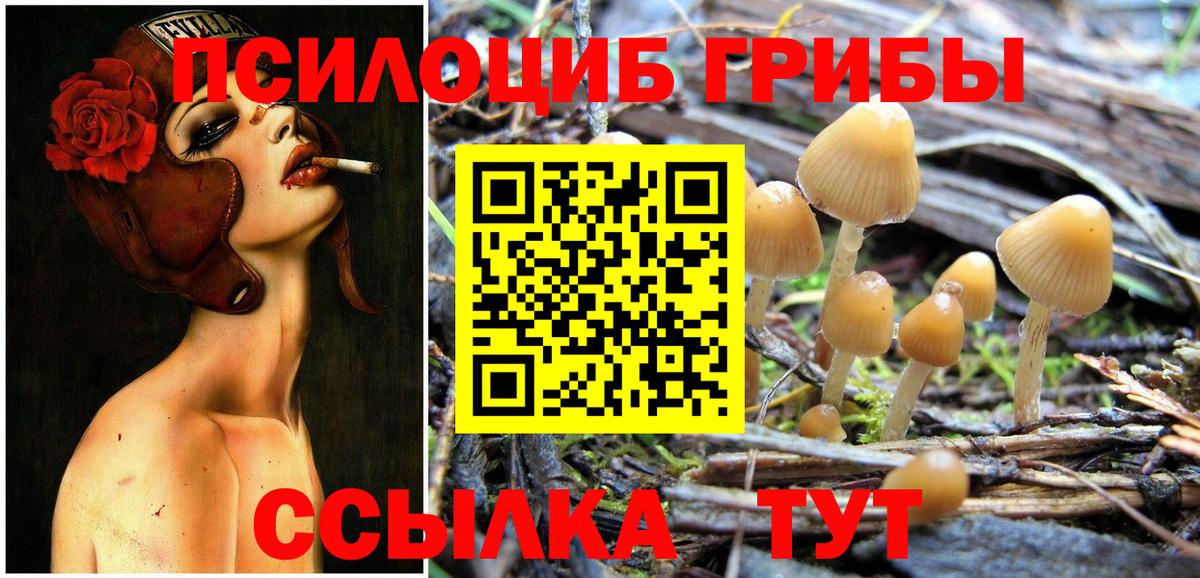 Галлюциногенные грибы Cubensis Саров