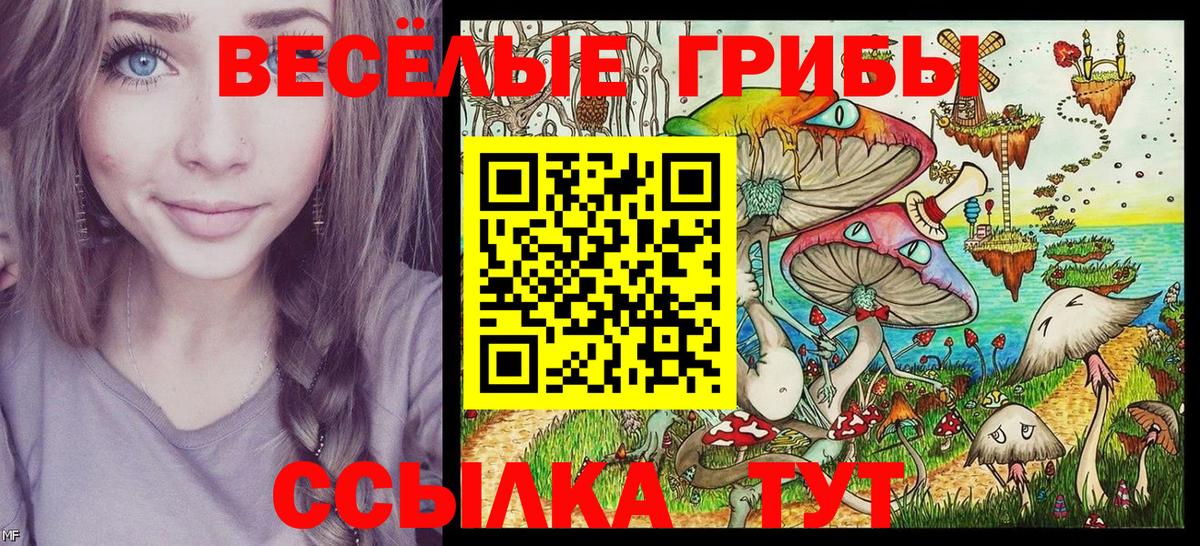 Саров  Галлюциногенные грибы Psilocybine cubensis  Вход с VPN 